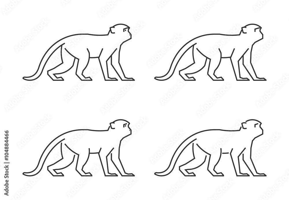 Vector outline monkey. Line silhouette monkey.
