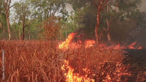 Grass fire burns in Australia