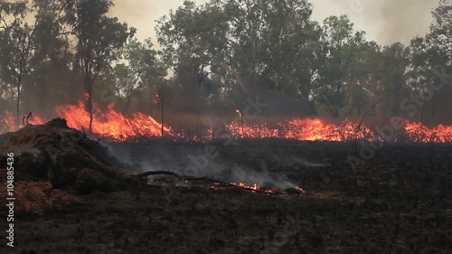 Bush fire burns in Australia