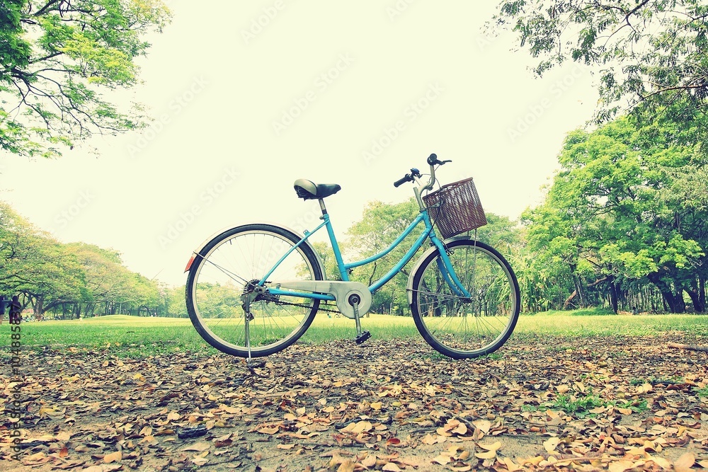 bicycle waiting near tree
