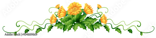 Plant with yellow flowers