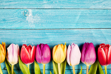 Colorful tulips aligned on a rustic wooden surface