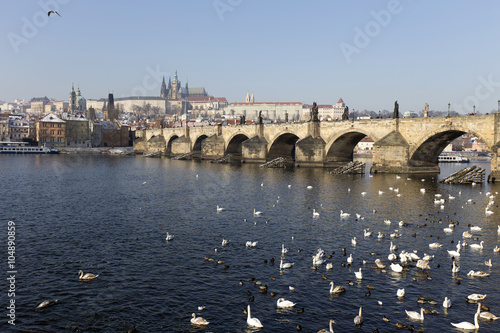 Photography View on the snowy Prague gothic Castle with Charles Bridge, Czech Republic