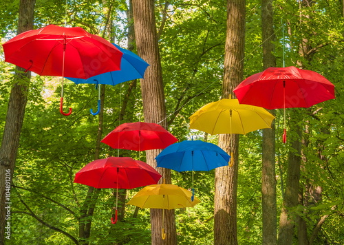 Umbrellas bright colors - red  blue  yellow - on a background of trees in the park