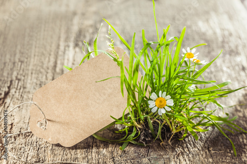 Foto Beautiful Spring sign or tag with grass