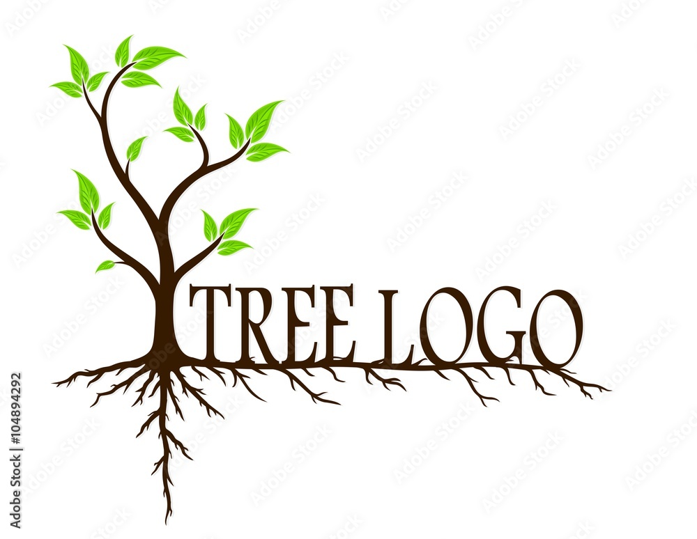 Obraz premium Green tree with roots.