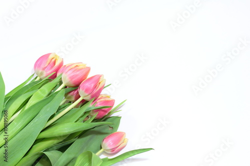Fototapeta Naklejka Na Ścianę i Meble -  Bouquet of red tulip