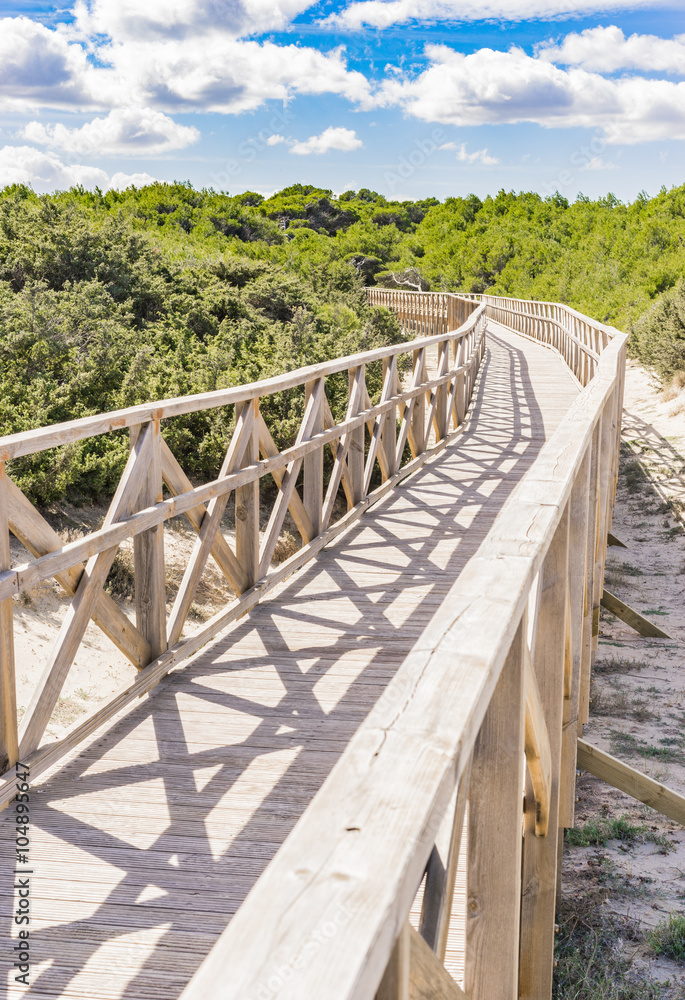 Holz Steg Brücke über Dünen Landschaft