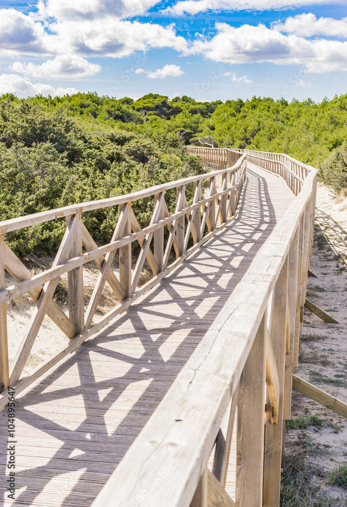 Holz Steg Brücke über Dünen Landschaft Holz Steg Brücke über Dünen Landschaft
