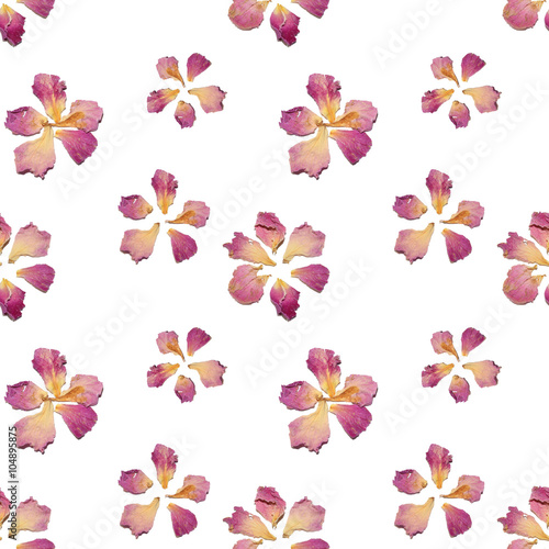 Seamless pattern with flowers of dried petals on white background