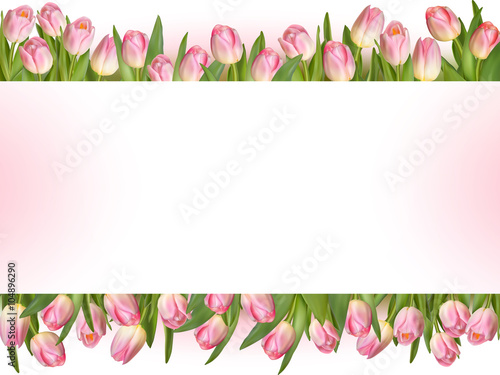 Tulips design template or background. EPS 10
