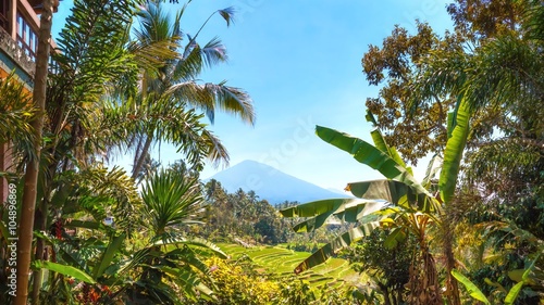 Mount Batukaru viewed from Rice Fields near Pupuan, Bali, Indonesia