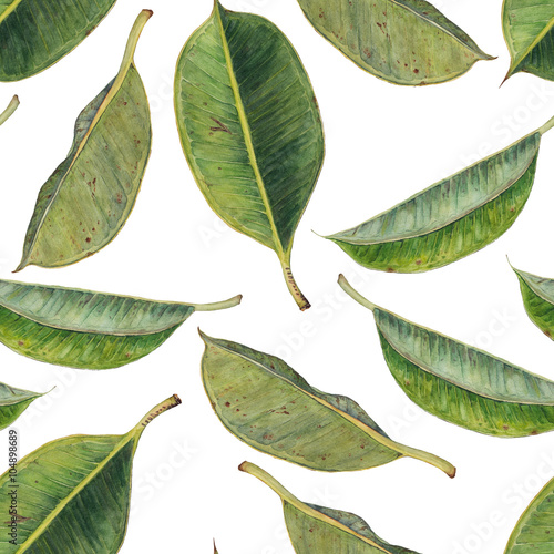 Seamless pattern with green rubber plant leaves. Hand drawn watercolor background. Original painting.