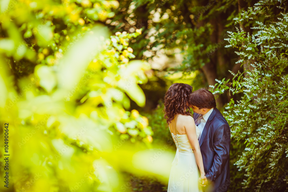 Happy newlywed romantic couple hugging and kissing in the park Happy newlywed romantic couple hugging and kissing in the park
