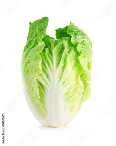 Chinese cabbage on white background