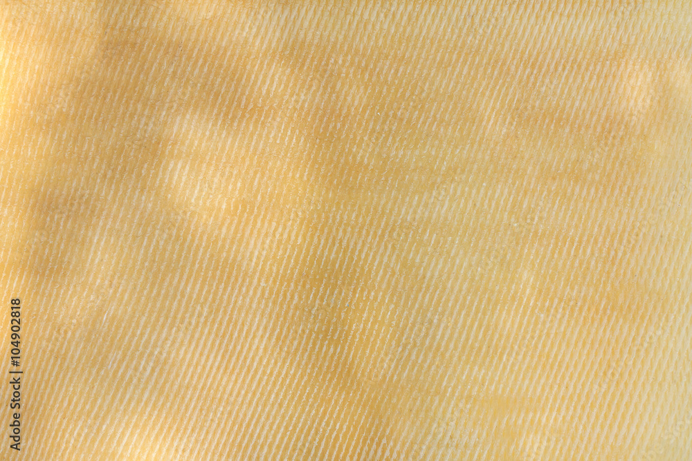 Colsup para rubber sheet texture  for background and design.