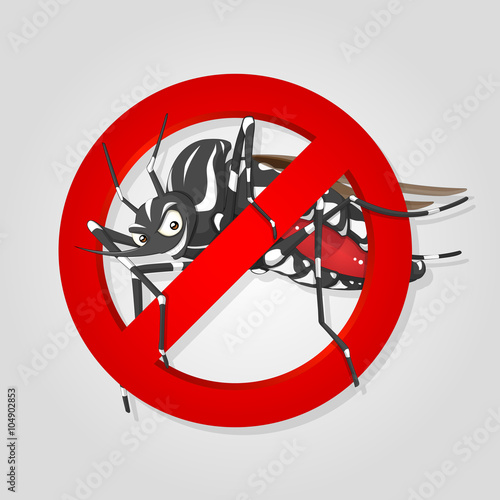 aedes aegypti