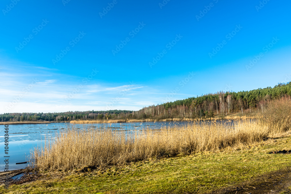 Beautiful lake landscape with reeds at shore.