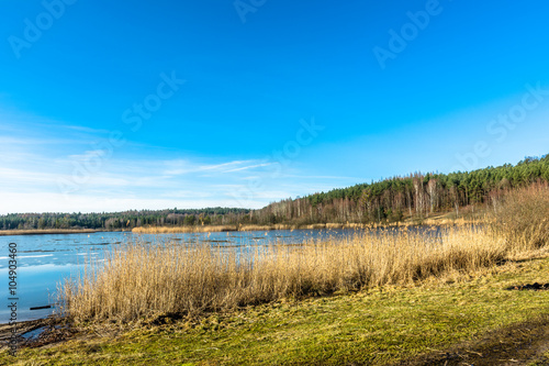 Beautiful lake landscape with reeds at shore.
