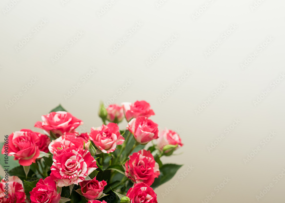 Red roses bouquet with free space for text.