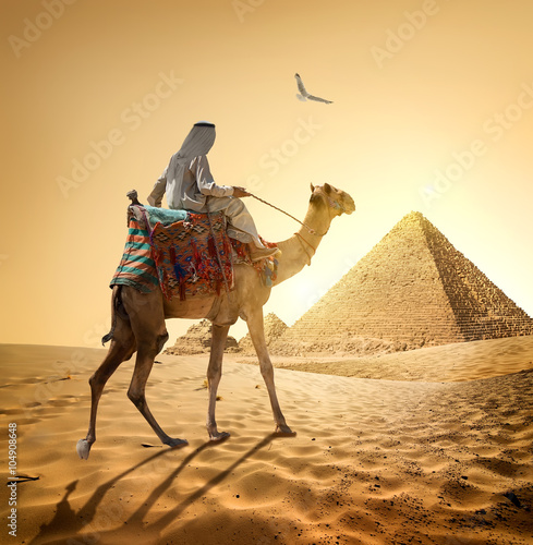 Valokuva Bedouin and bird