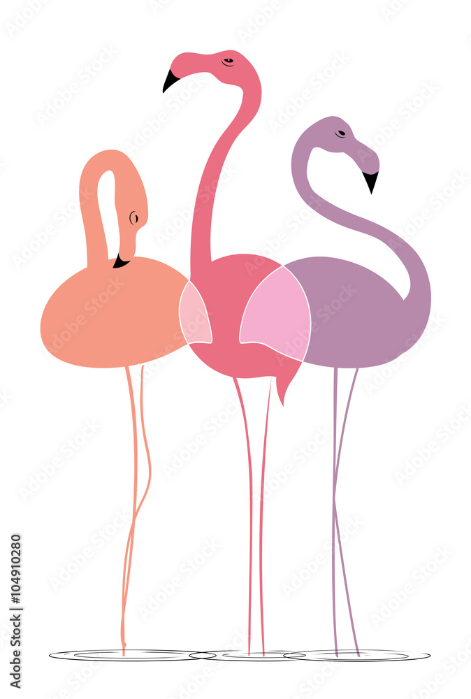 Fototapeta premium Varicoloured flamingos on a white background