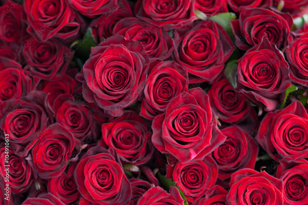 Big bunch of red roses Big bunch of red roses