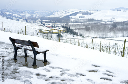 Langhe snowed vineyards, wintertime. Color image