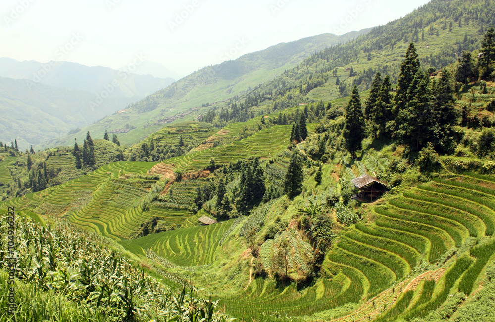 Landscape with Rice Paddy Terraces, Pinjan, China, Asia