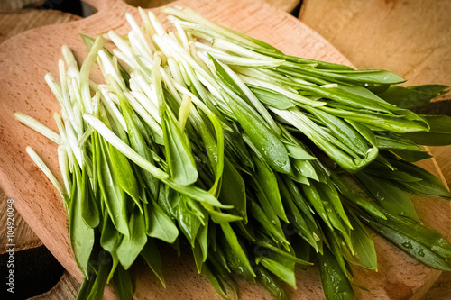 wild leek photo