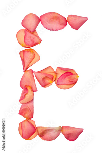 E letter made of pink rose petal