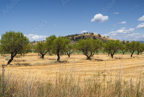 Aragon  Spain   summer landscape