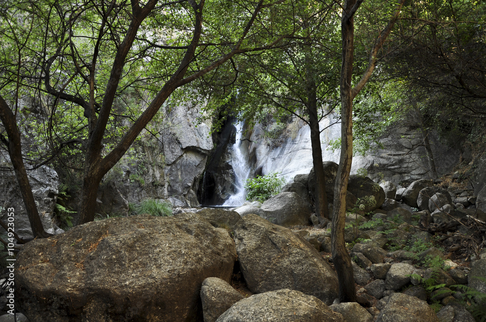 Obraz premium Bosque con cascada