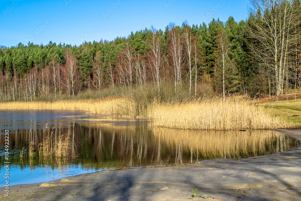 Beautiful landscape of lake shore near forest in early spring.