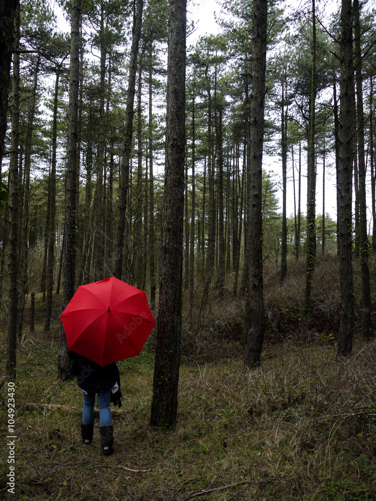 Red Umbrella in the Woods