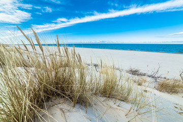 Stickers Plage et Mer Beautiful sea landscape. Sandy beach and sand dune with grass.  © alicja neumiler