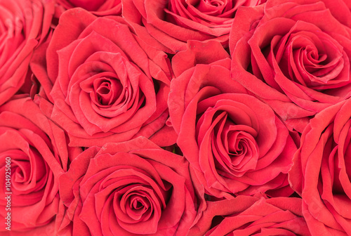 Rote Rosen Liebe Symbol Rosenstrau  