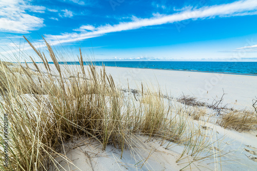 Beautiful sea landscape. Sandy beach and sand dune with grass.