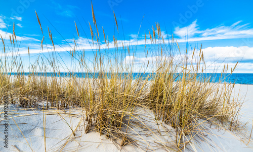 Fototapeta Naklejka Na Ścianę i Meble -  Sea landscape with sandy dunes and grass