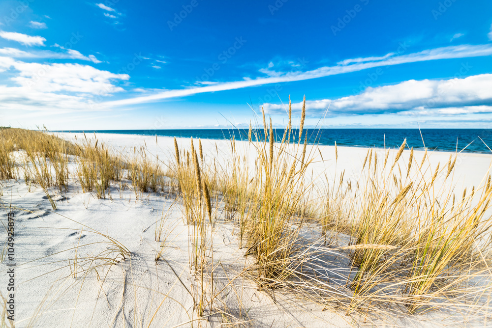 Fototapeta premium Krajobraz morze z piaszczystymi wydmami i trawą