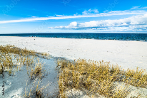Sea landscape with sandy dunes and grass
