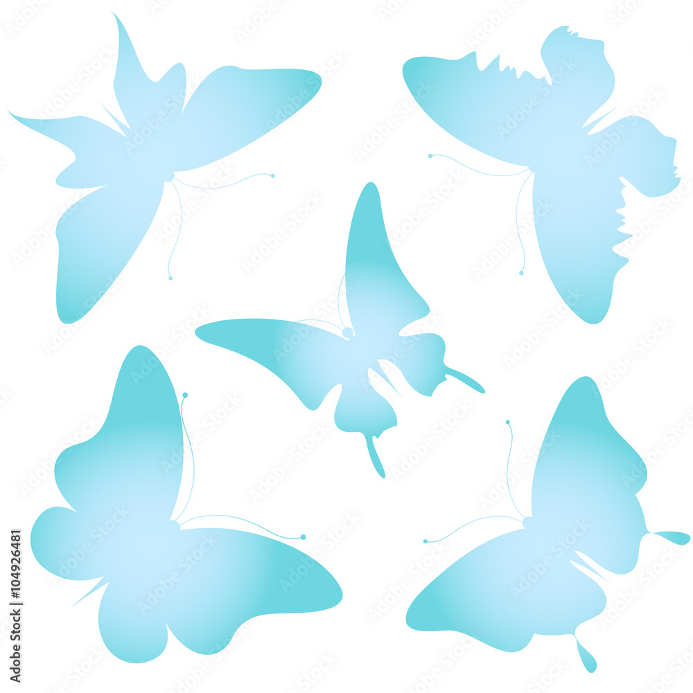 Fototapeta premium butterflies design