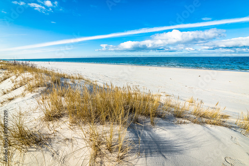 Beautiful sea landscape. Sandy beach and sand dune with grass.