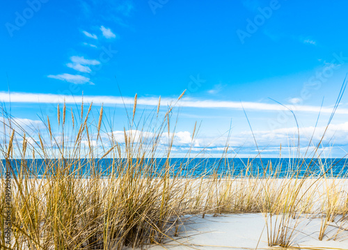 Fototapeta Naklejka Na Ścianę i Meble -  Sea landscape with sandy dunes and grass
