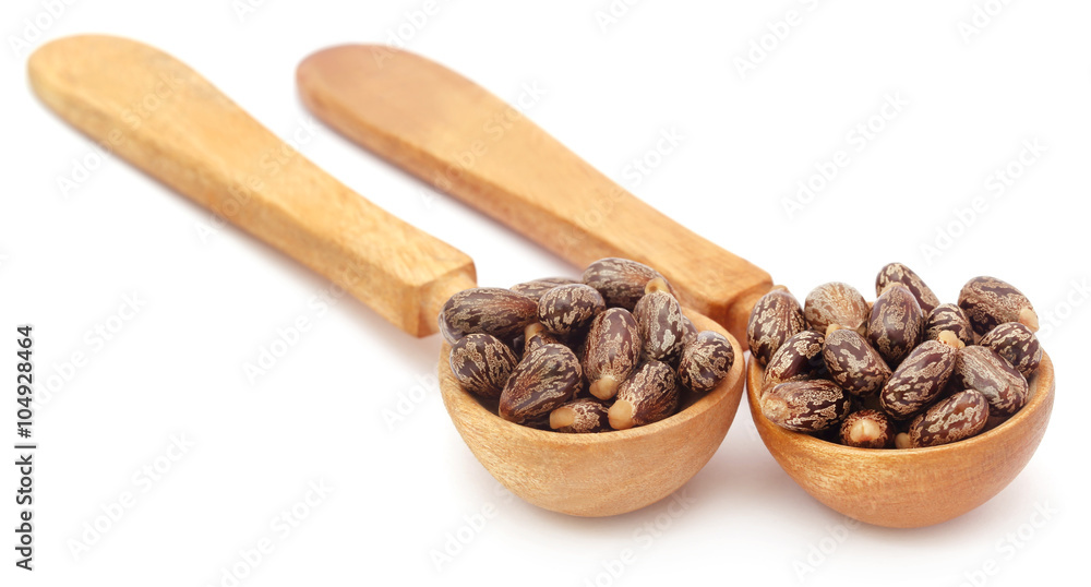 Castor beans in wooden spoon Castor beans in wooden spoon