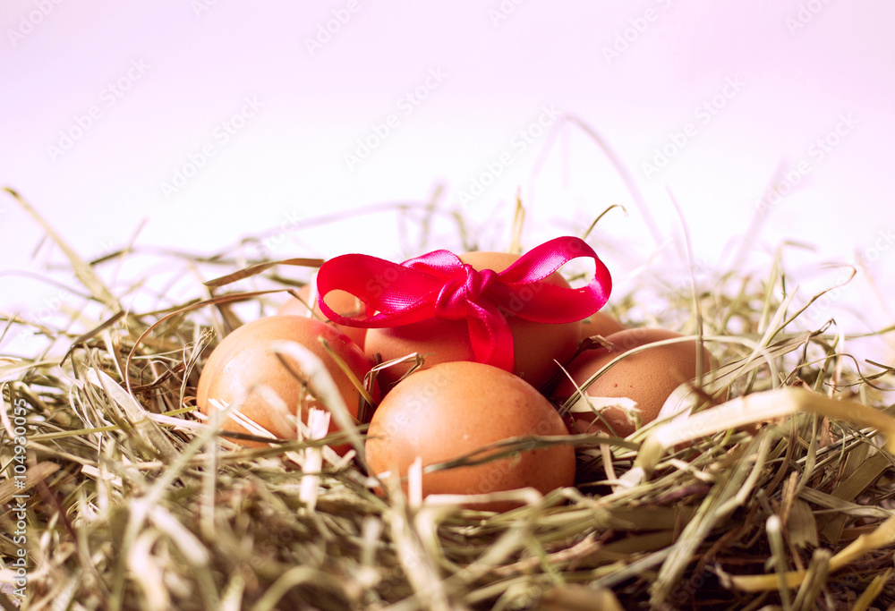 Fresh chicken eggs with hay nest and pink bow Fresh chicken eggs with hay nest and pink bow