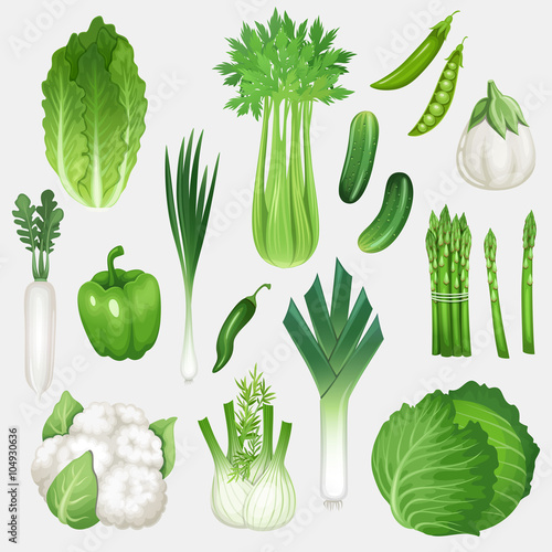 Set of fresh green vegetables. Healthy food vector illustration. 