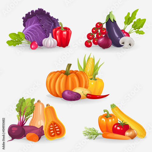 Set of fresh vegetables. Healthy food vector illustration background.

