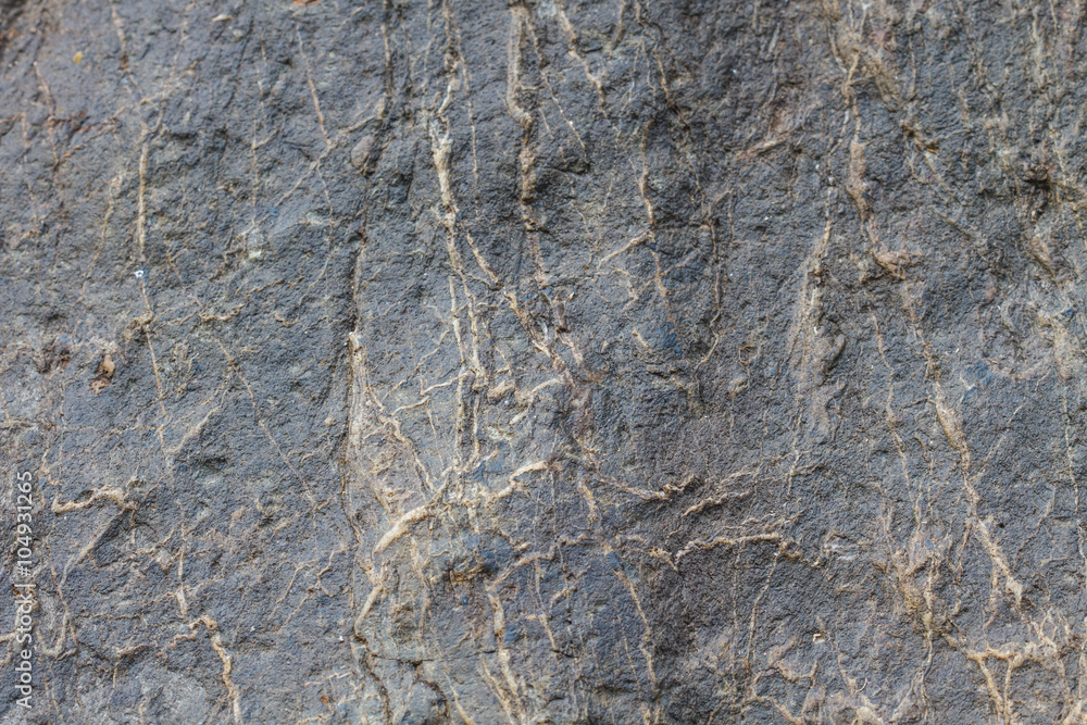 Naklejka premium surface of the marble