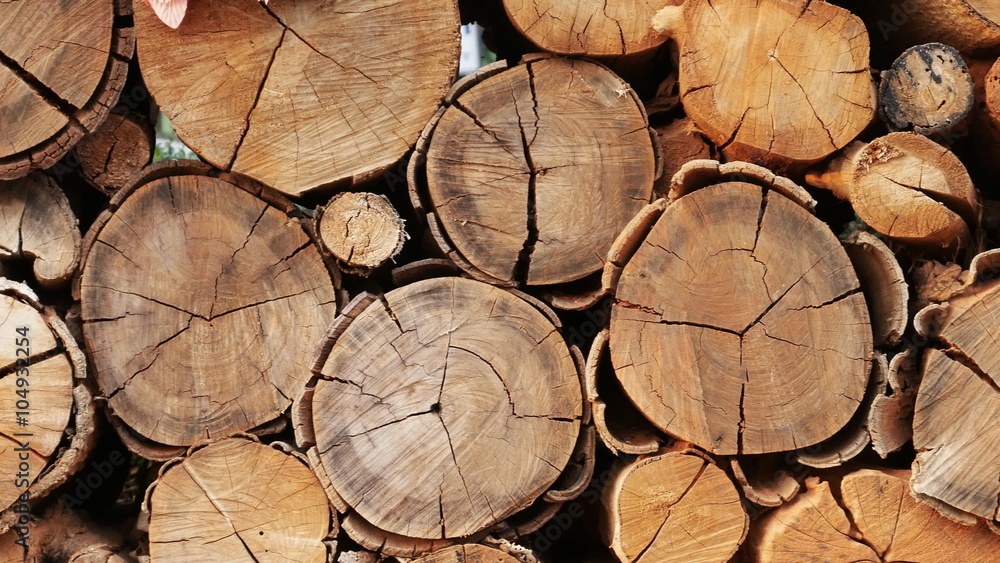 panning shot of Pile of wood logs storage for background panning shot of Pile of wood logs storage for background